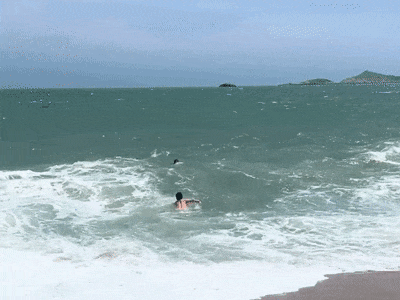 1.gif